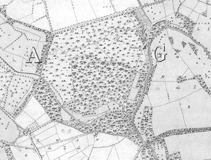 Small map image