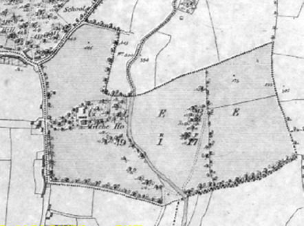 Small map image