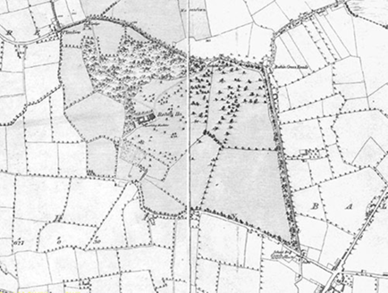 Small map image