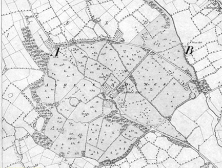Small map image