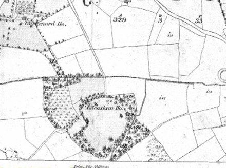 Small map image