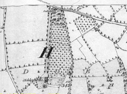 Small map image
