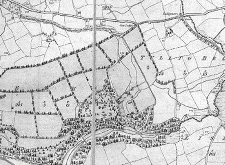 Small map image