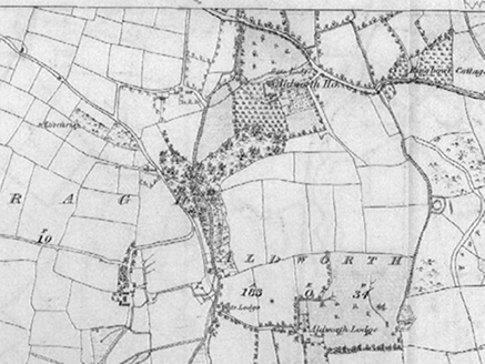 Small map image