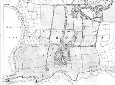 Small map image