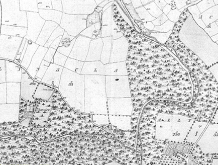 Small map image