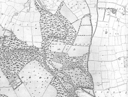Small map image