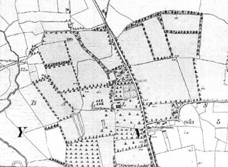 Small map image