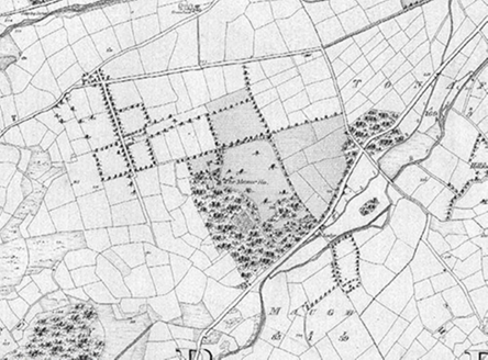 Small map image