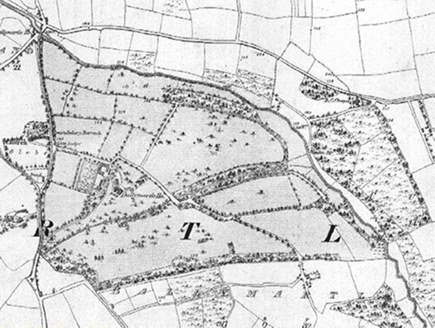Small map image