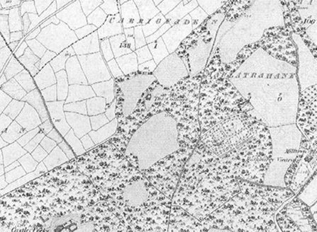 Small map image