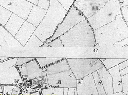 Small map image