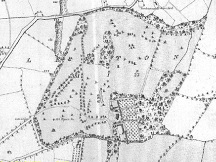 Small map image