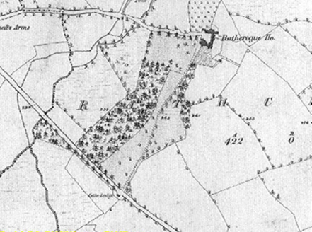 Small map image