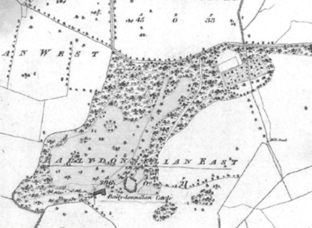 Small map image