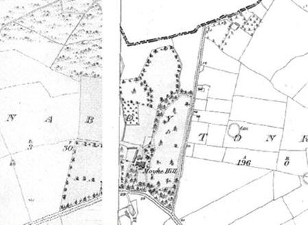Small map image