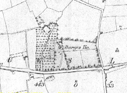 Small map image