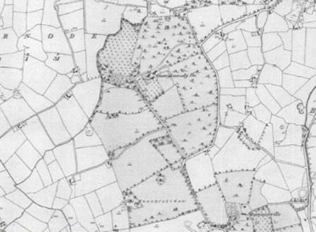 Small map image