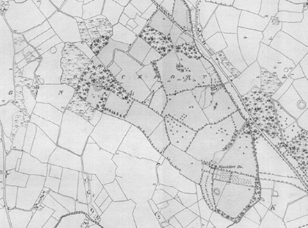 Small map image