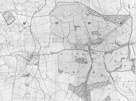Small map image