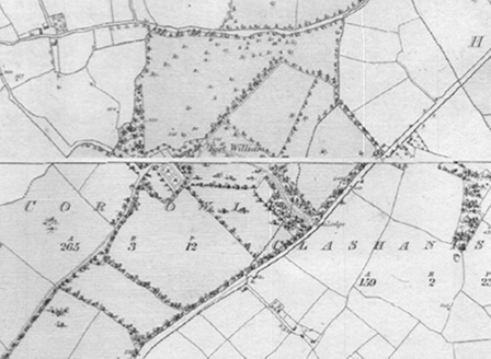 Small map image