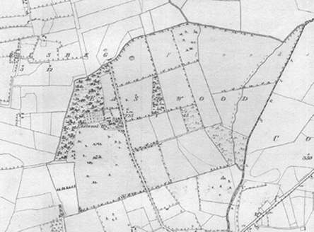 Small map image