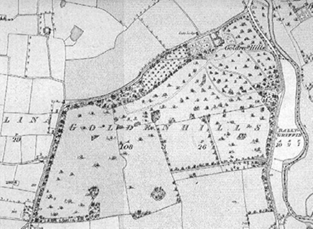 Small map image